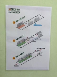 PEKI2016_06_11_floor.jpg